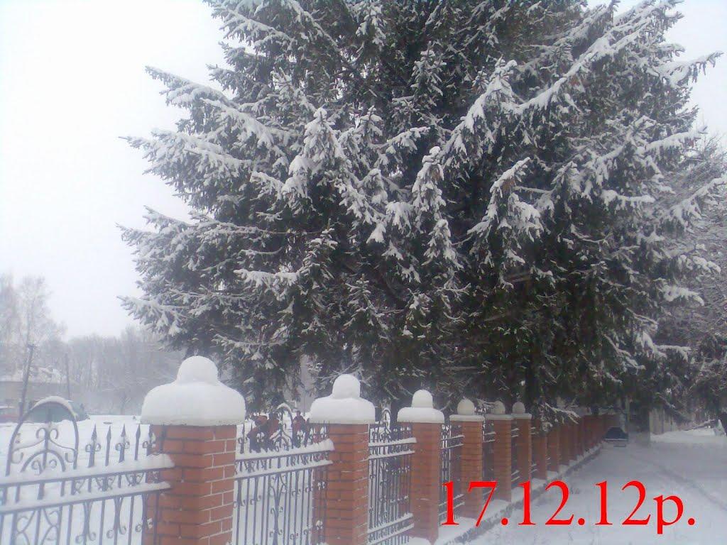 Веснянка з panoramio.com - Веснянка