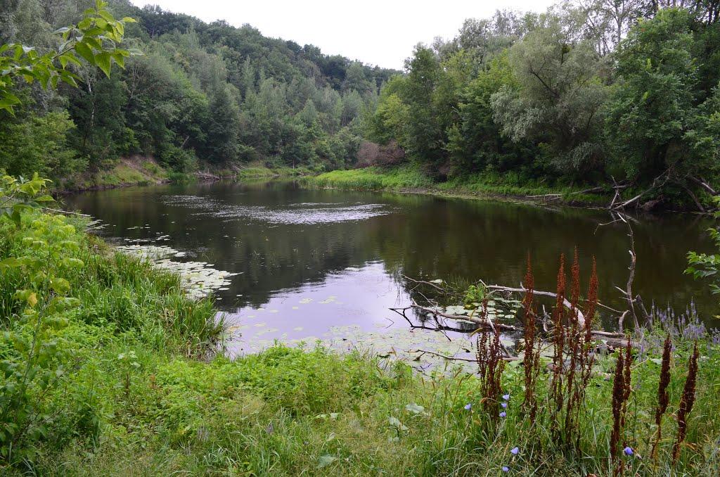 Яреськи з panoramio.com - Яреськи