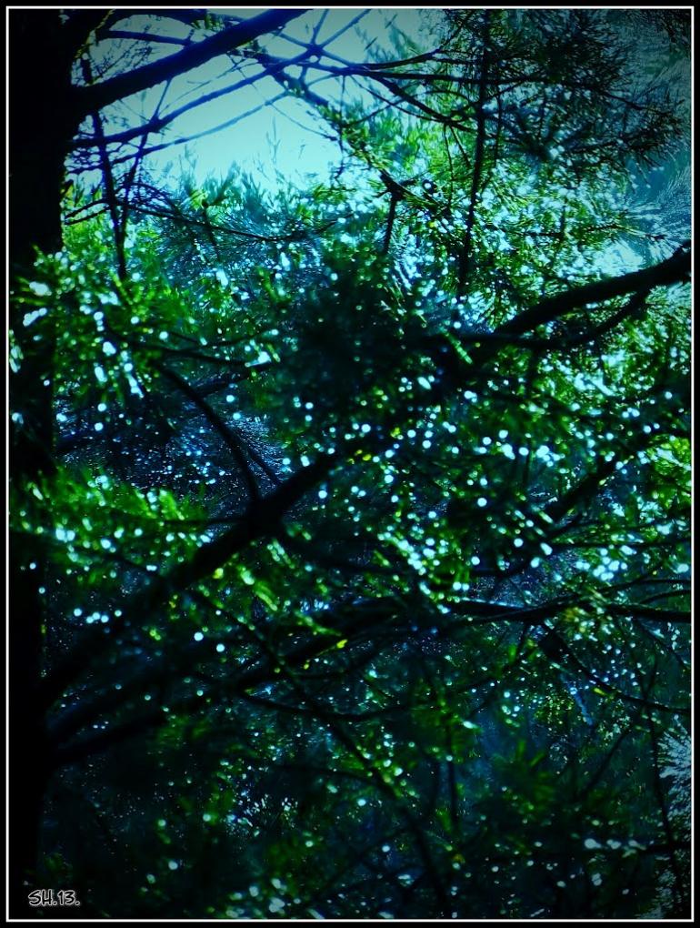 Три Копці з panoramio.com - Три Копцы