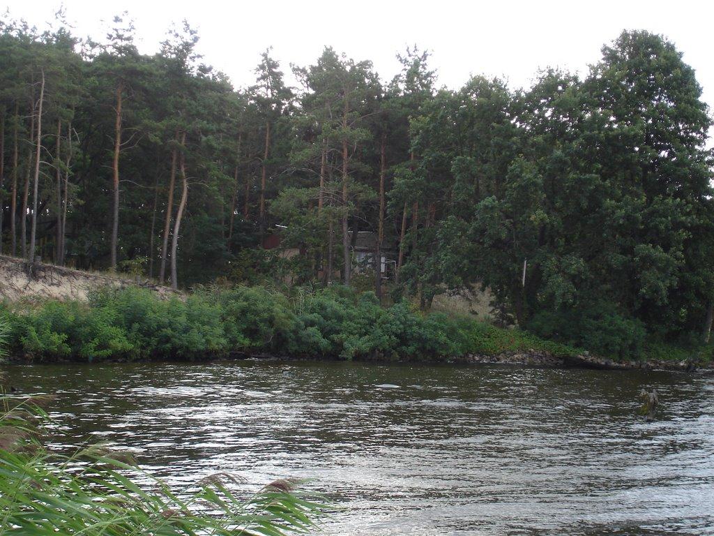 Осещина з panoramio.com - Осещина
