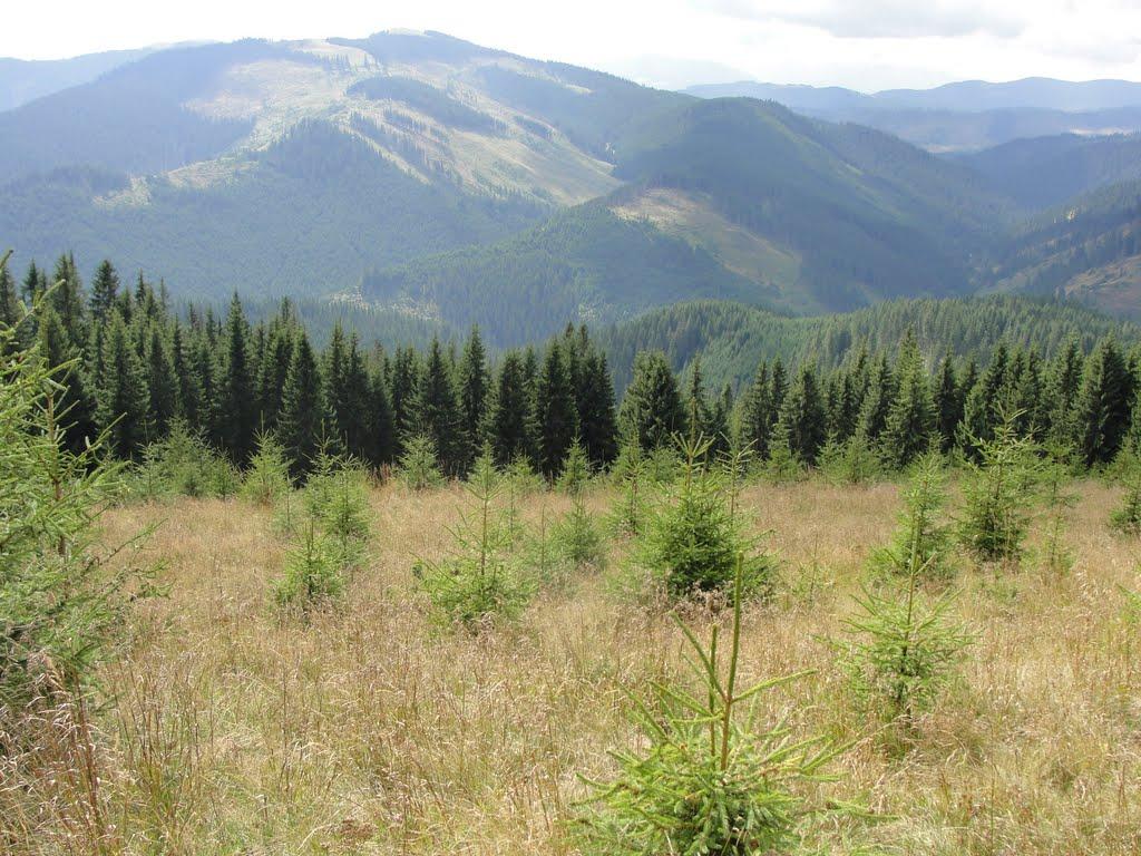 Сарата з panoramio.com - Сарата