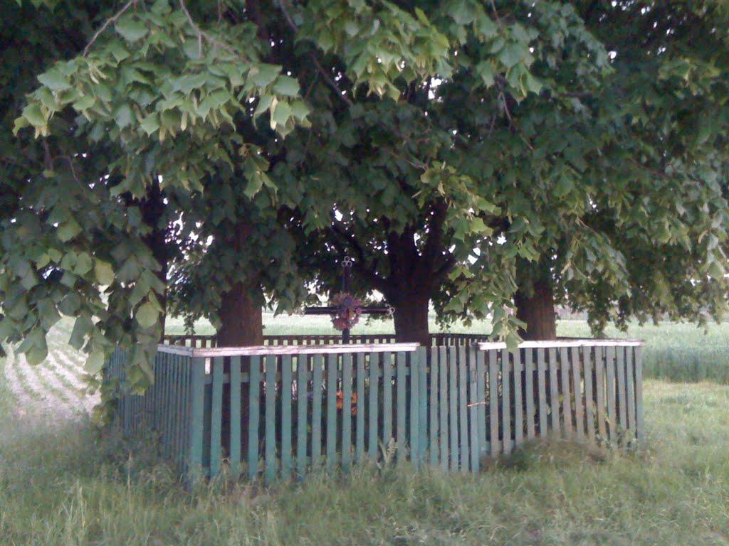 Замок з panoramio.com - Замок