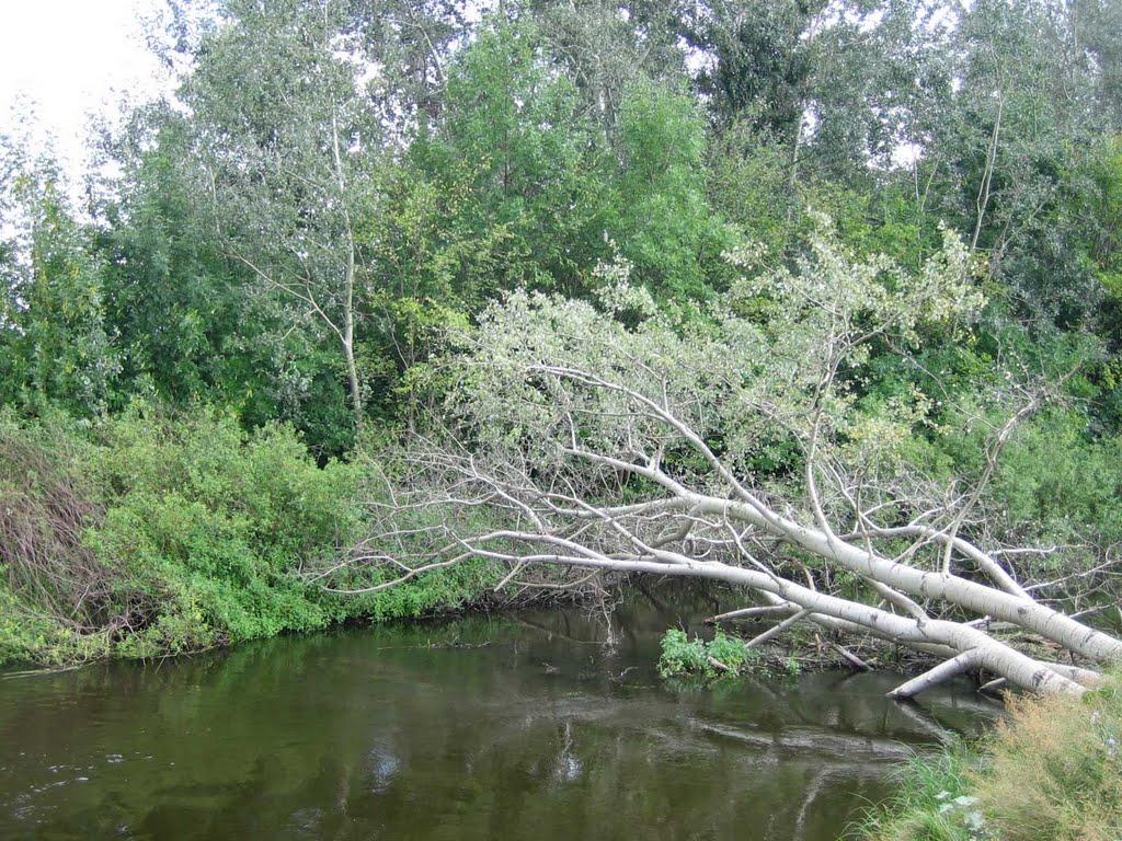 Бабайківка з panoramio.com - Бабайківка