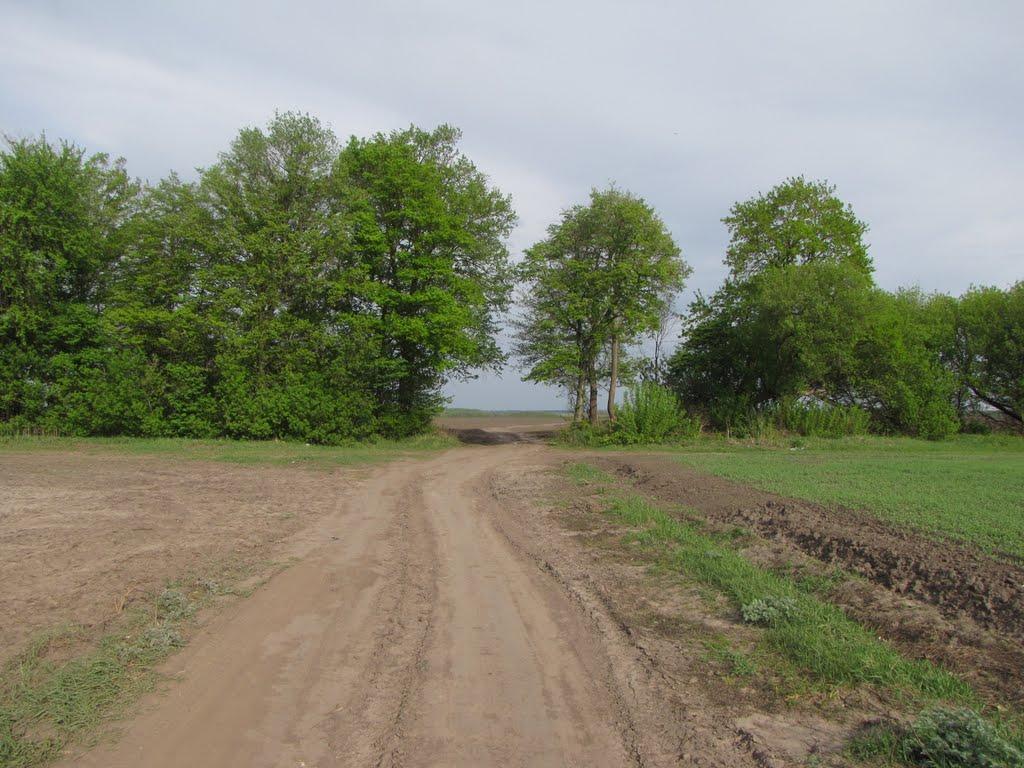 Яцьки з panoramio.com - Яцьки