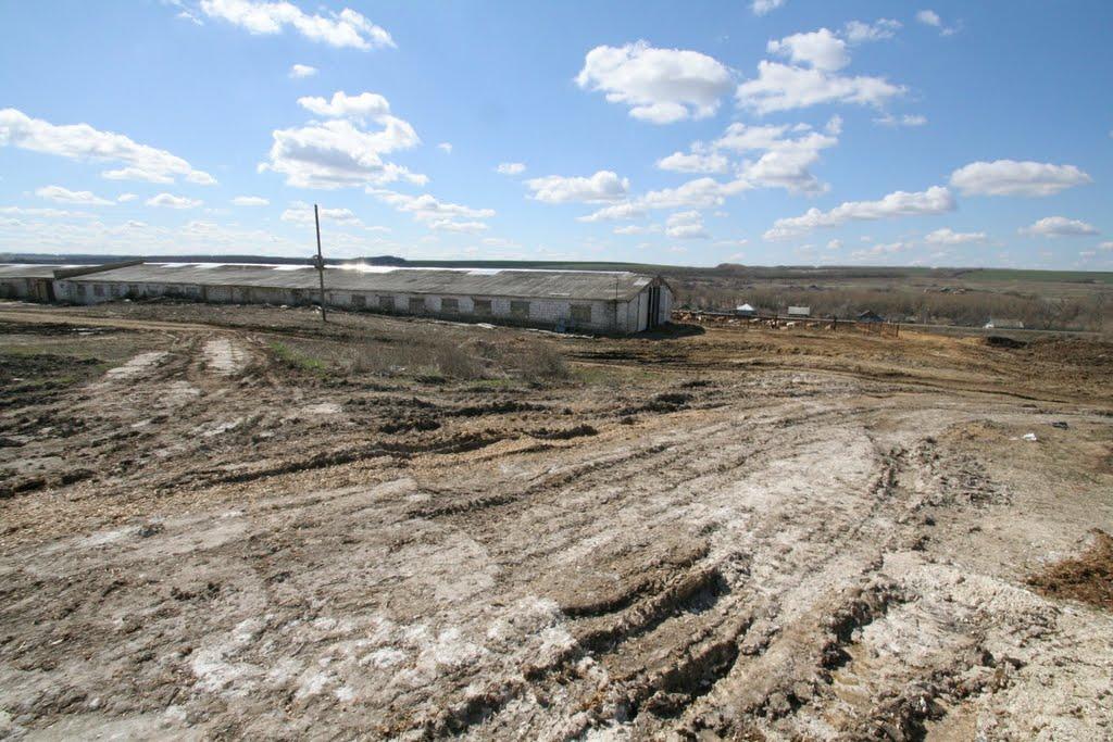 Червона Зоря з panoramio.com - Червона Зоря