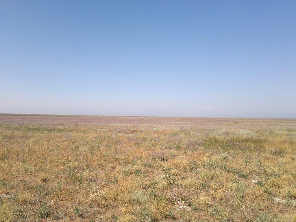 Львове з panoramio.com - Львове