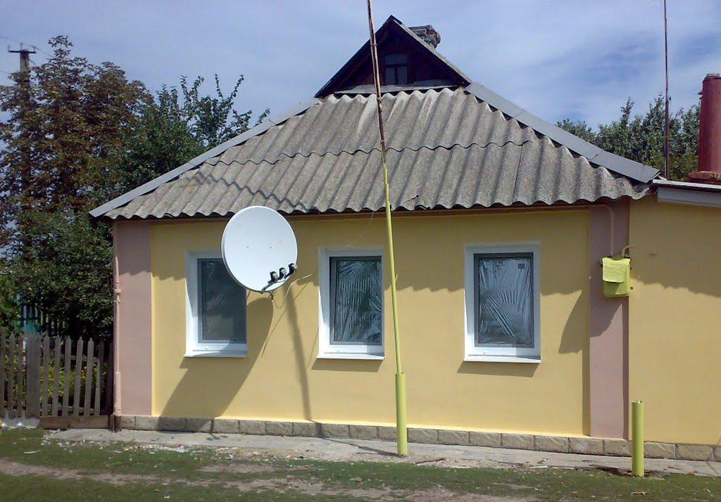 Гроза з panoramio.com - Гроза