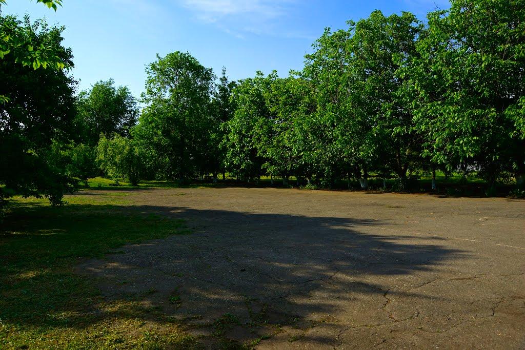 Побузьке з panoramio.com - Побугское