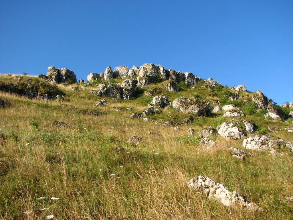 Івахнівці з panoramio.com - Івахнівці