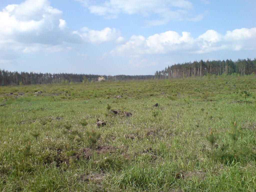 Горенка з panoramio.com - Горенка