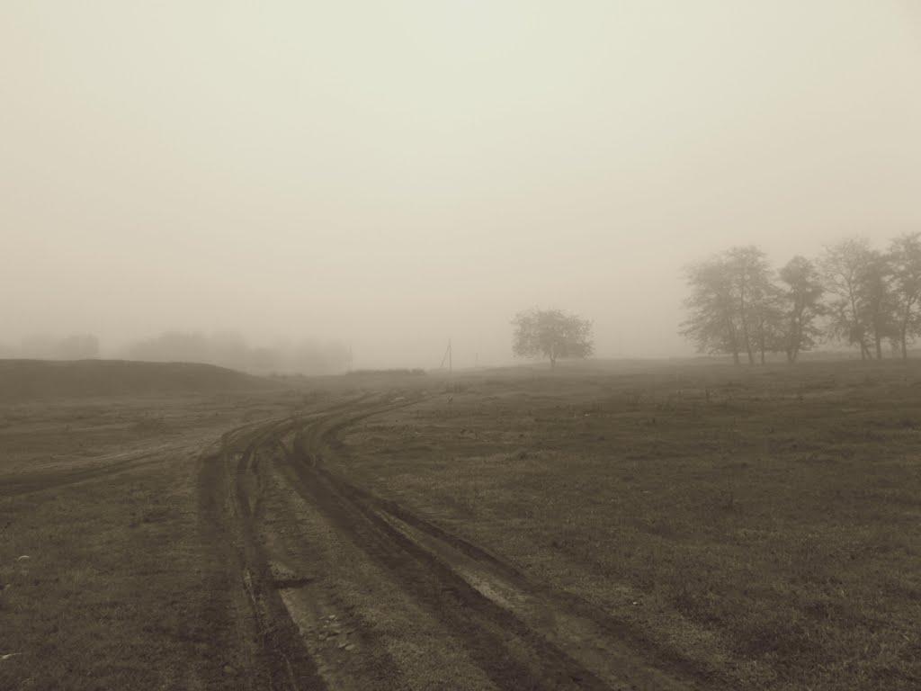 Доманівка з panoramio.com - Доманівка