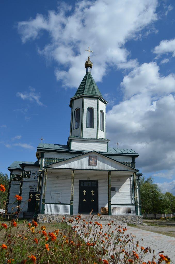 Нечаївка з panoramio.com - Нечаевка