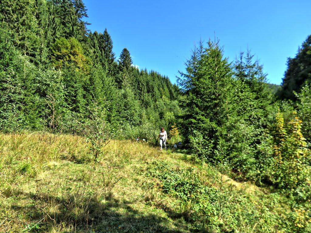 Нижня Рожанка з panoramio.com - Нижняя Рожанка