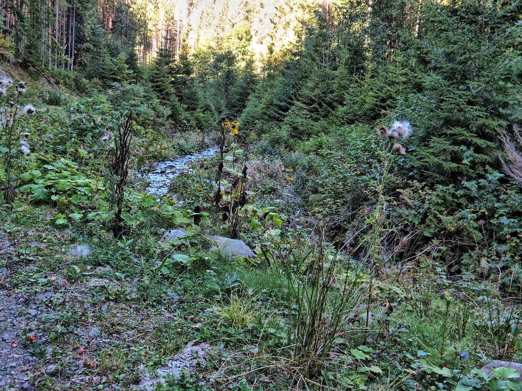 Нижня Рожанка з panoramio.com - Нижняя Рожанка