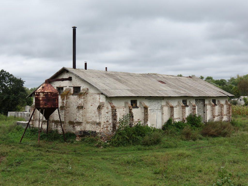 Нижня Дуванка з panoramio.com - Нижня Дуванка