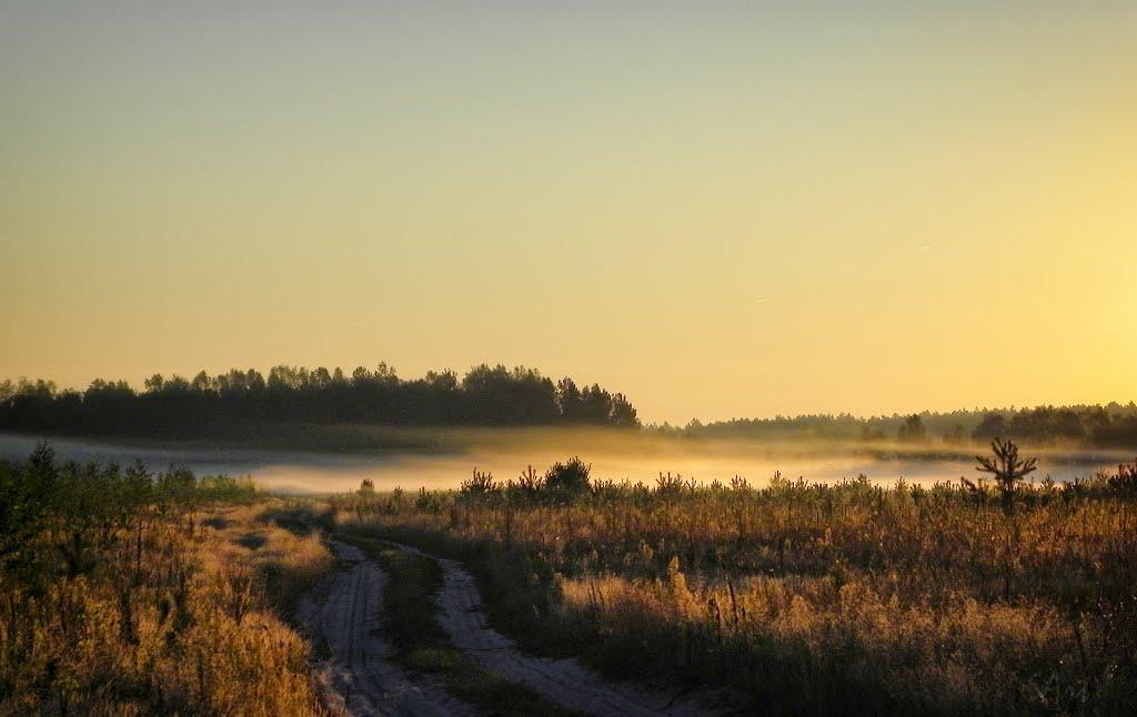 Лизунова Рудня з panoramio.com - Lyzunova Rudnya