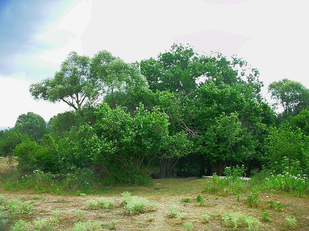 Голубинка з panoramio.com - Голубинка