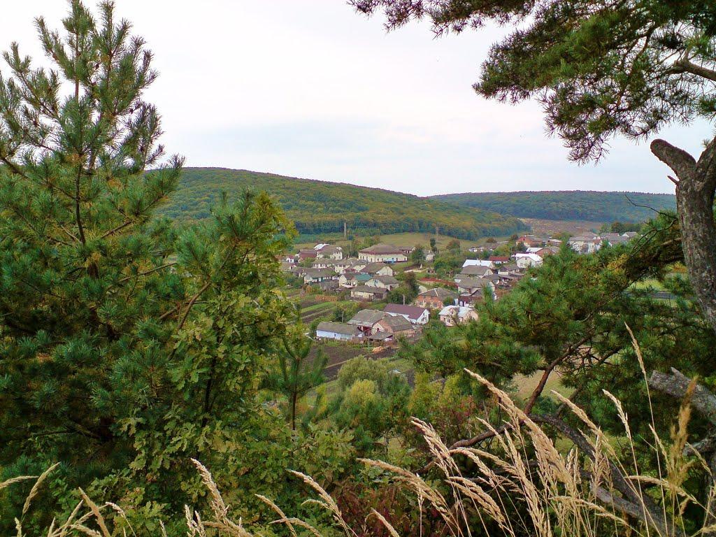 Рогачин з panoramio.com - Rogachyn