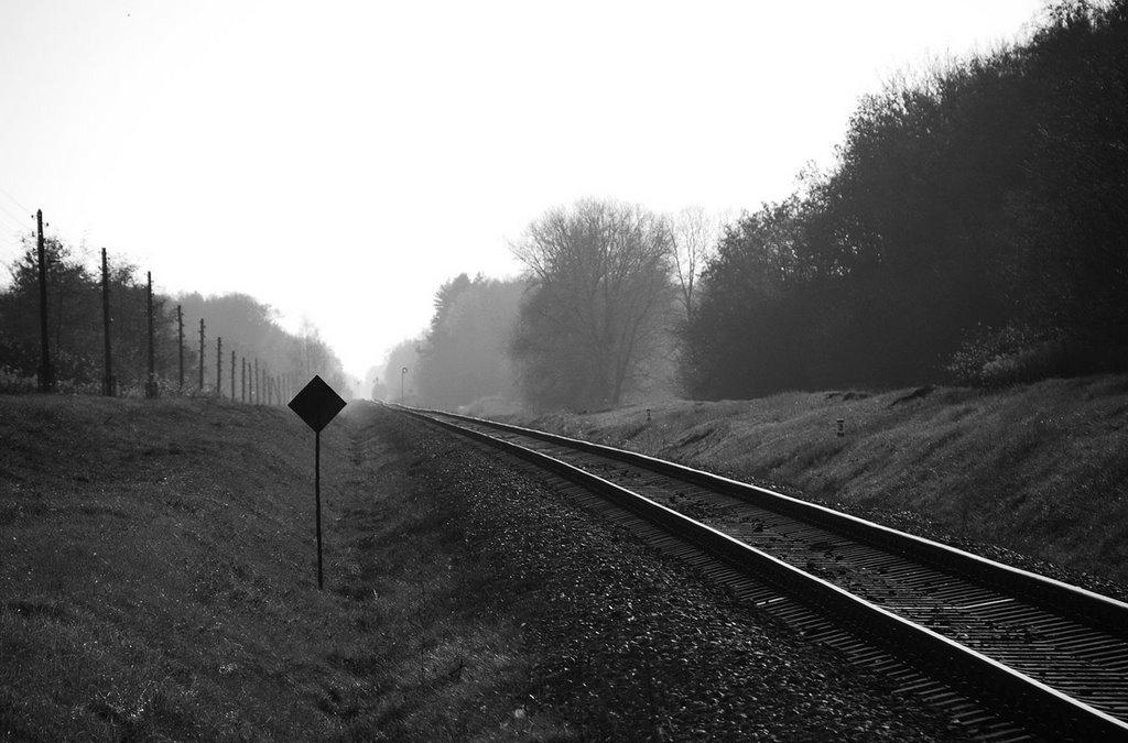 Сезьки з panoramio.com - Сезьки