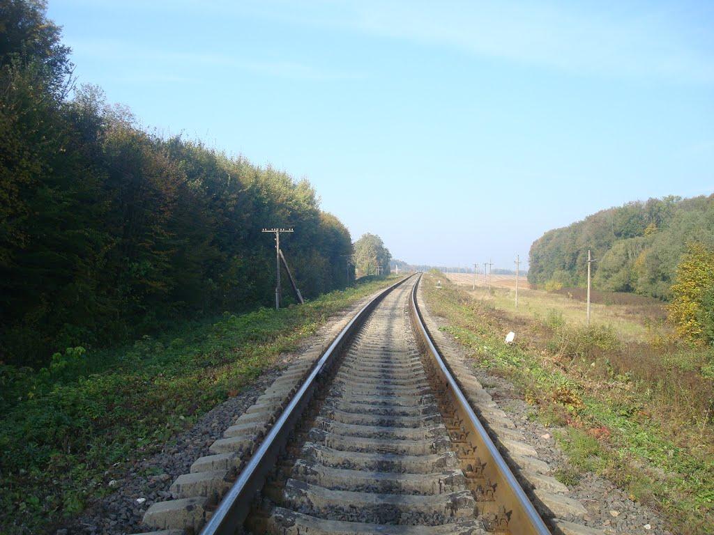 Велика Яромирка з panoramio.com - Велика Яромирка