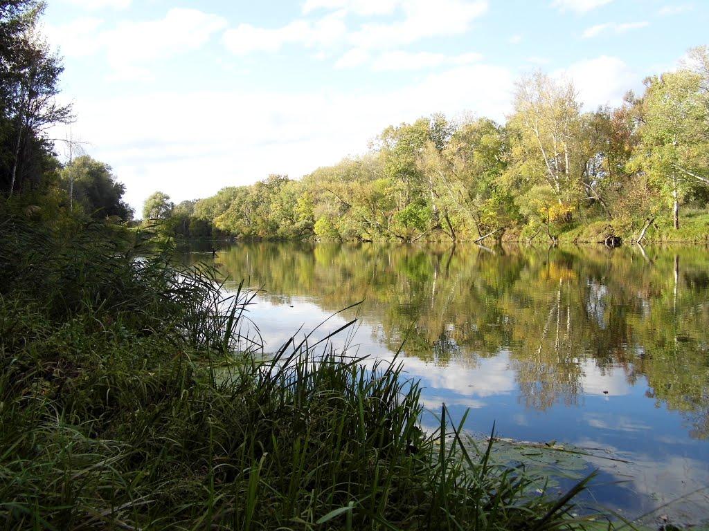 Богородичне з panoramio.com - Bogorodychne
