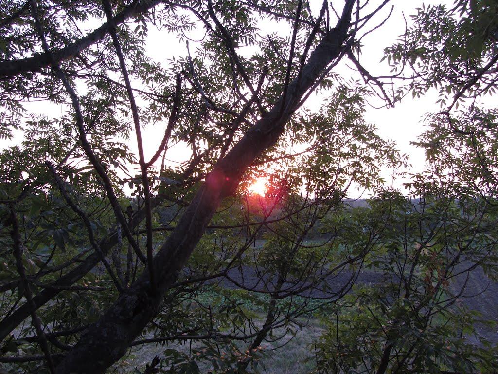 Попівка з panoramio.com - Поповка