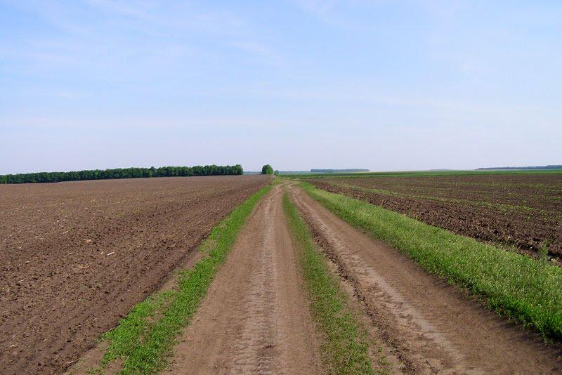 Дмитрівка з panoramio.com - Дмитрівка