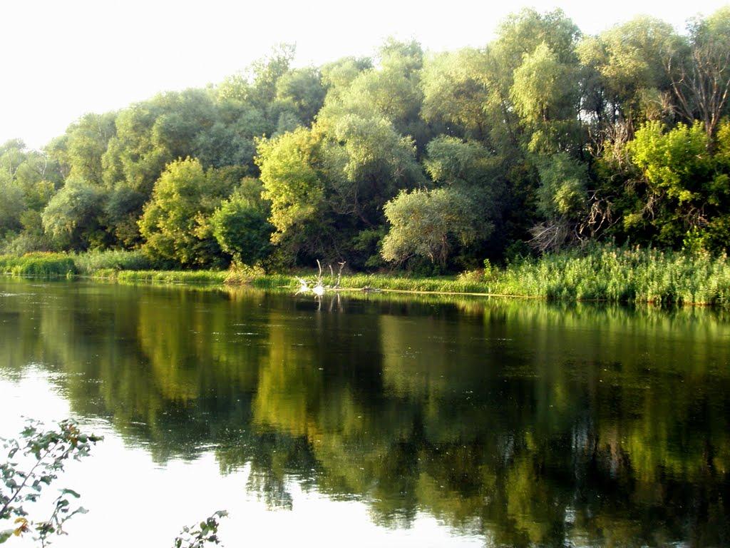 Довге з panoramio.com - Довге