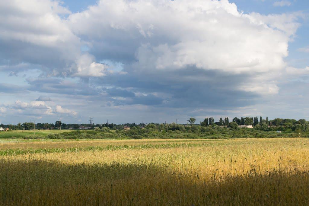 Сирники з panoramio.com - Сирники