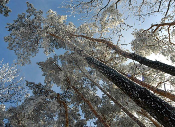 Старий Почаїв з panoramio.com - Старий Почаїв