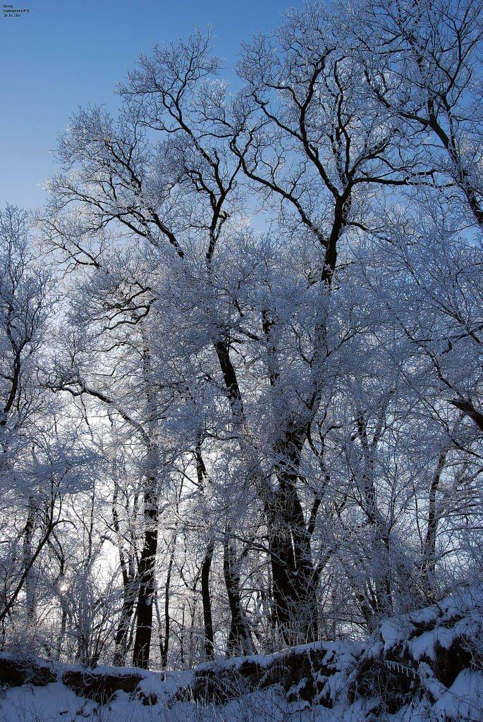 Приліпка з panoramio.com - Прилипка