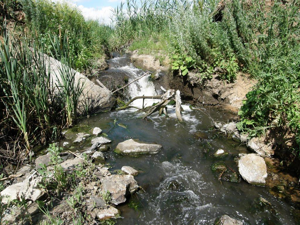 Оріхове з panoramio.com - Оріхове