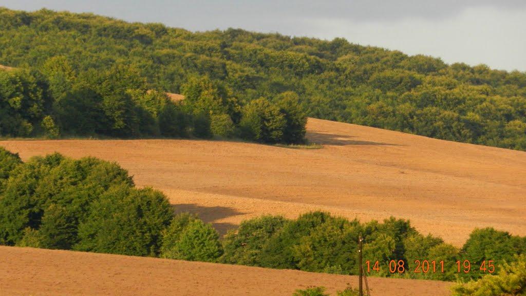 Добринів з panoramio.com - Добринів