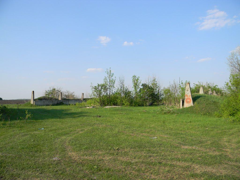 Підлісне з panoramio.com - Підлісне