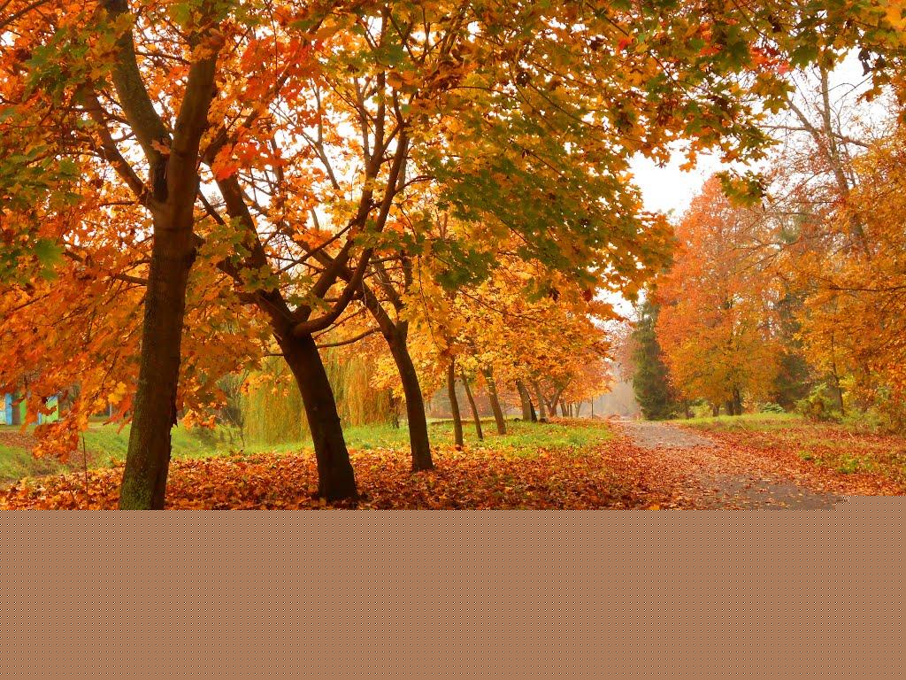 Андріївка з panoramio.com - Andriyivka