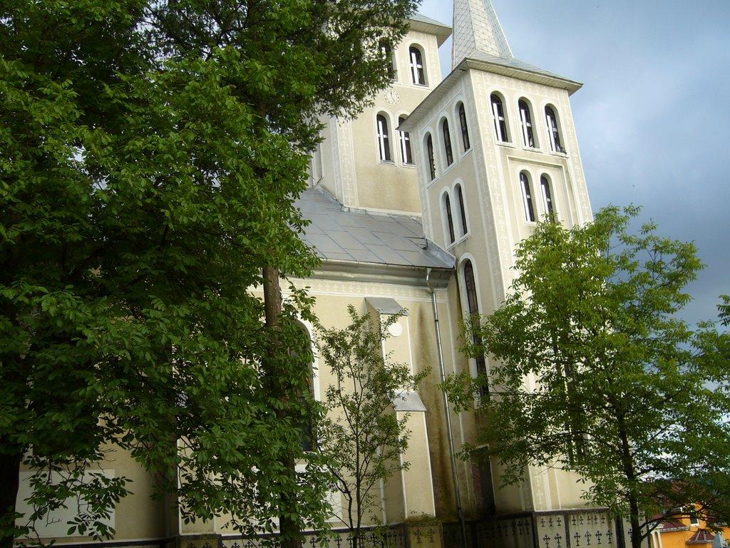 Великий Бичків з panoramio.com - Великий Бичків
