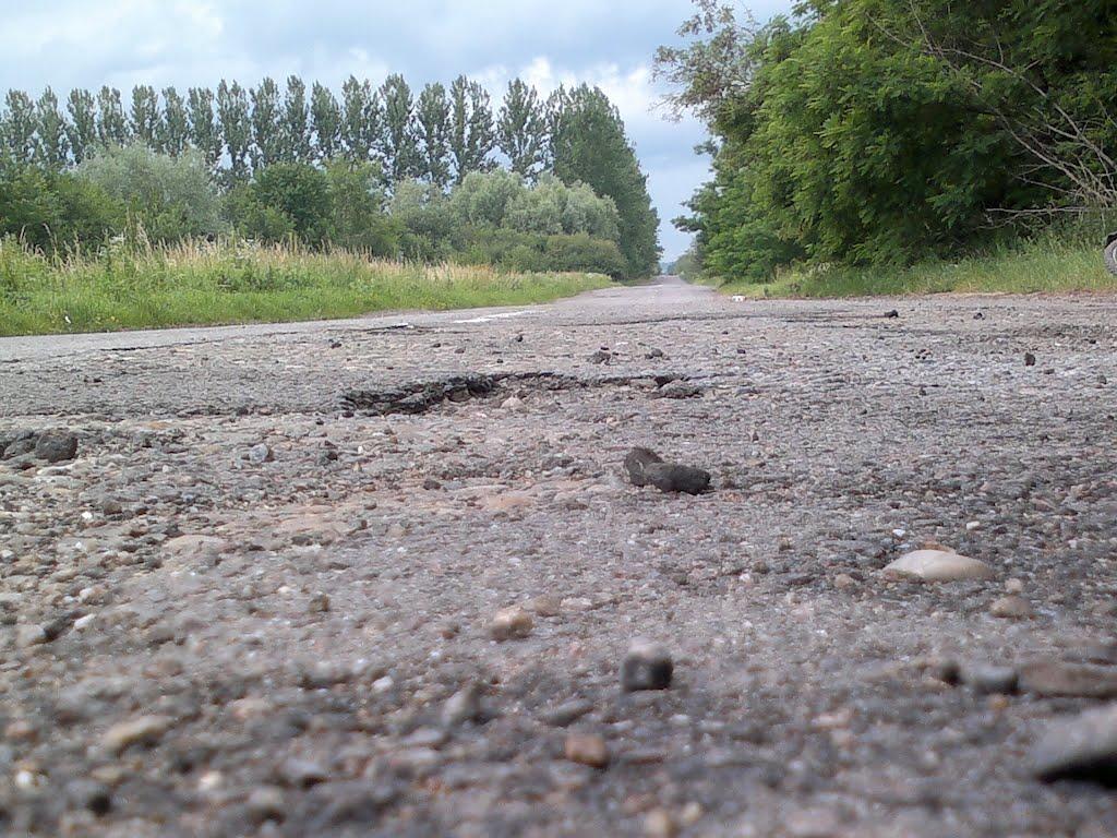 Губичі з panoramio.com - Губичи