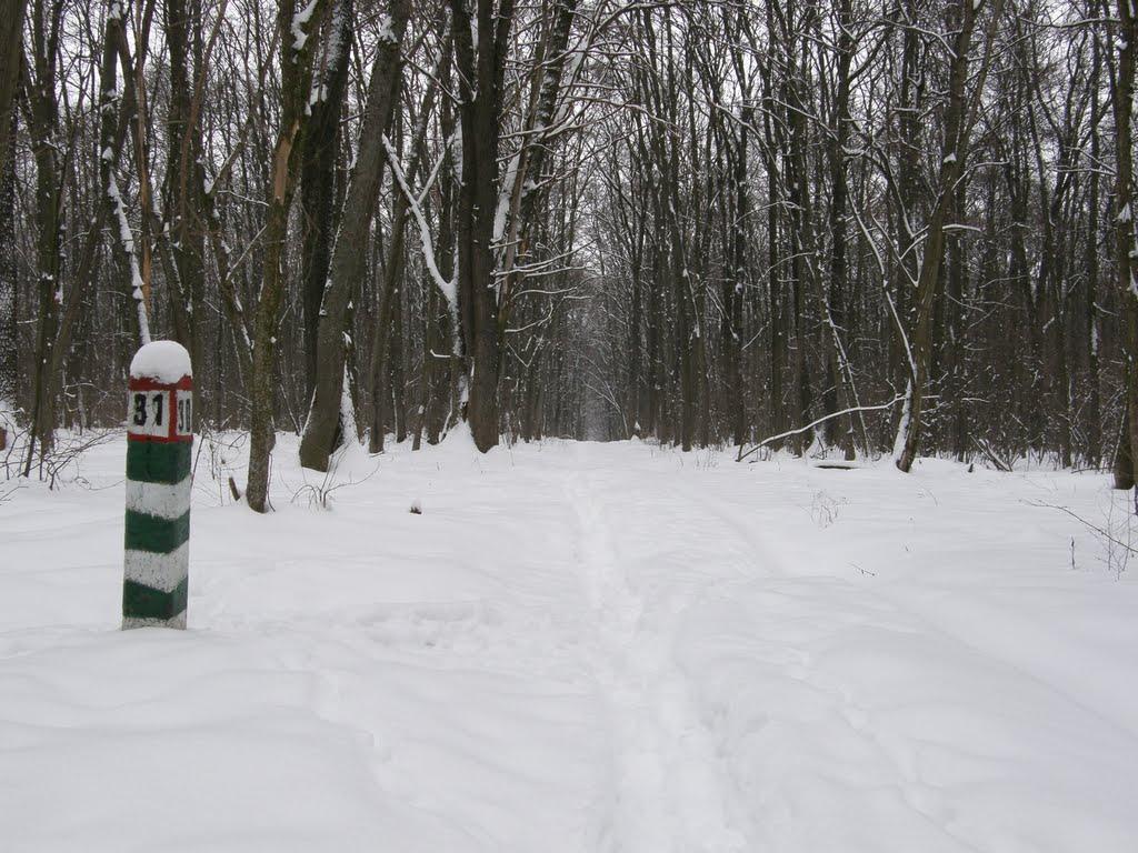 Заріг з panoramio.com - Заріг