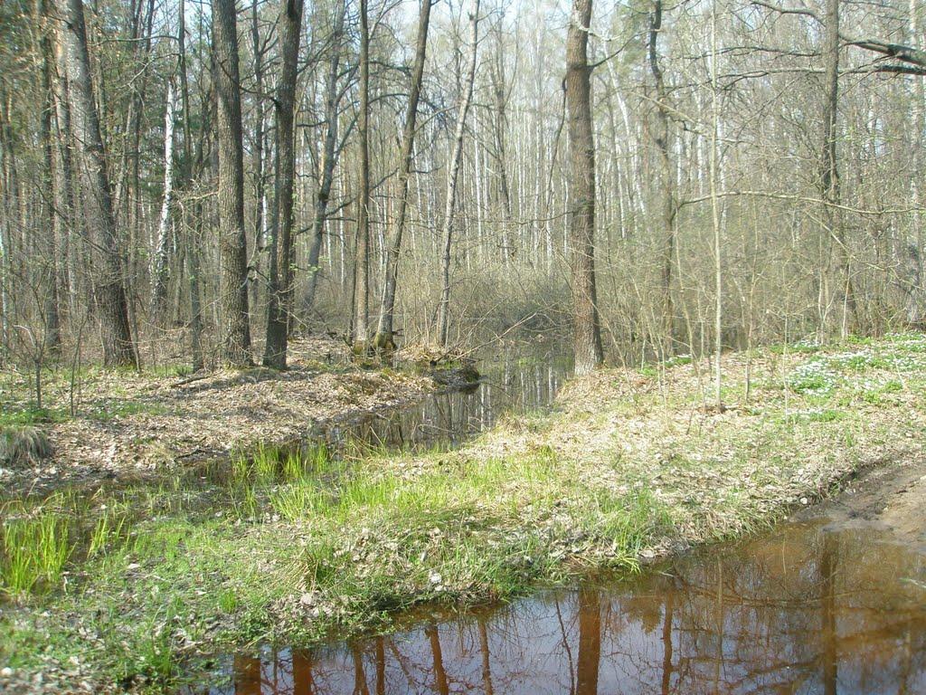 Яменець з panoramio.com - Яменец