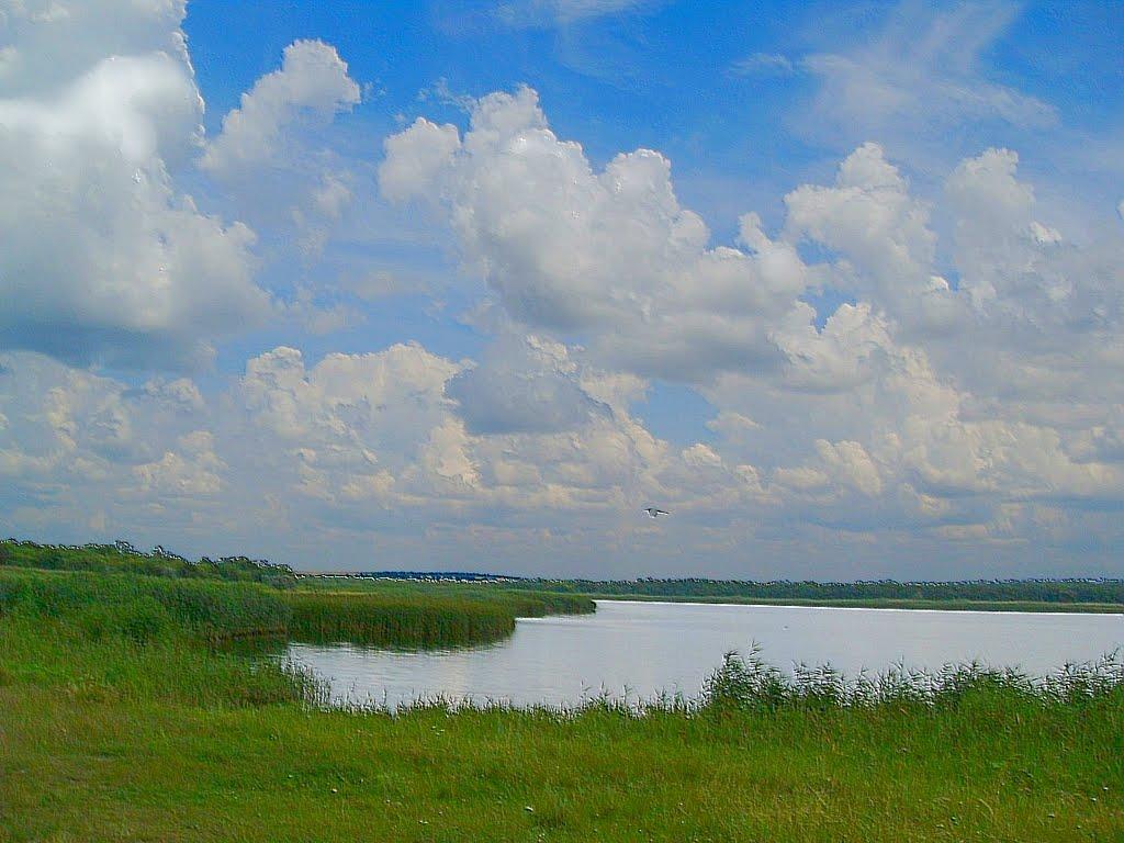 Кузнецове з panoramio.com - Кузнецово