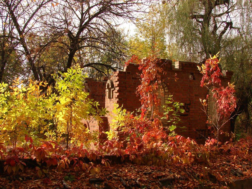 Добропілля з panoramio.com - Доброполье