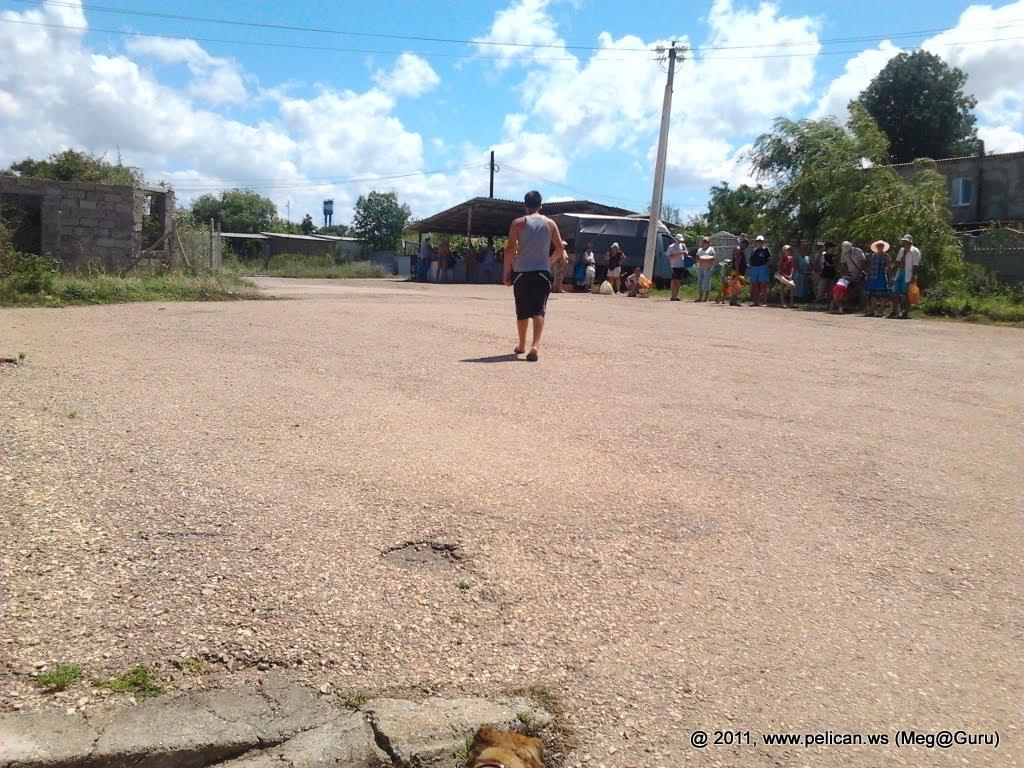 Берегове з panoramio.com - Берегово