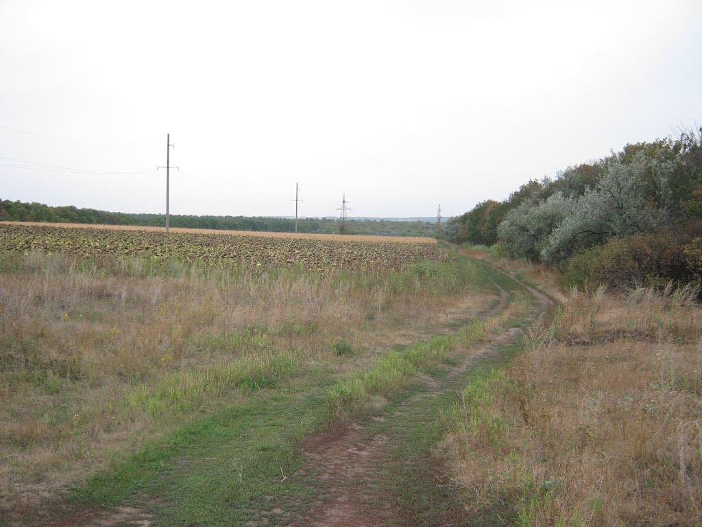 Петровеньки з panoramio.com - Петровеньки