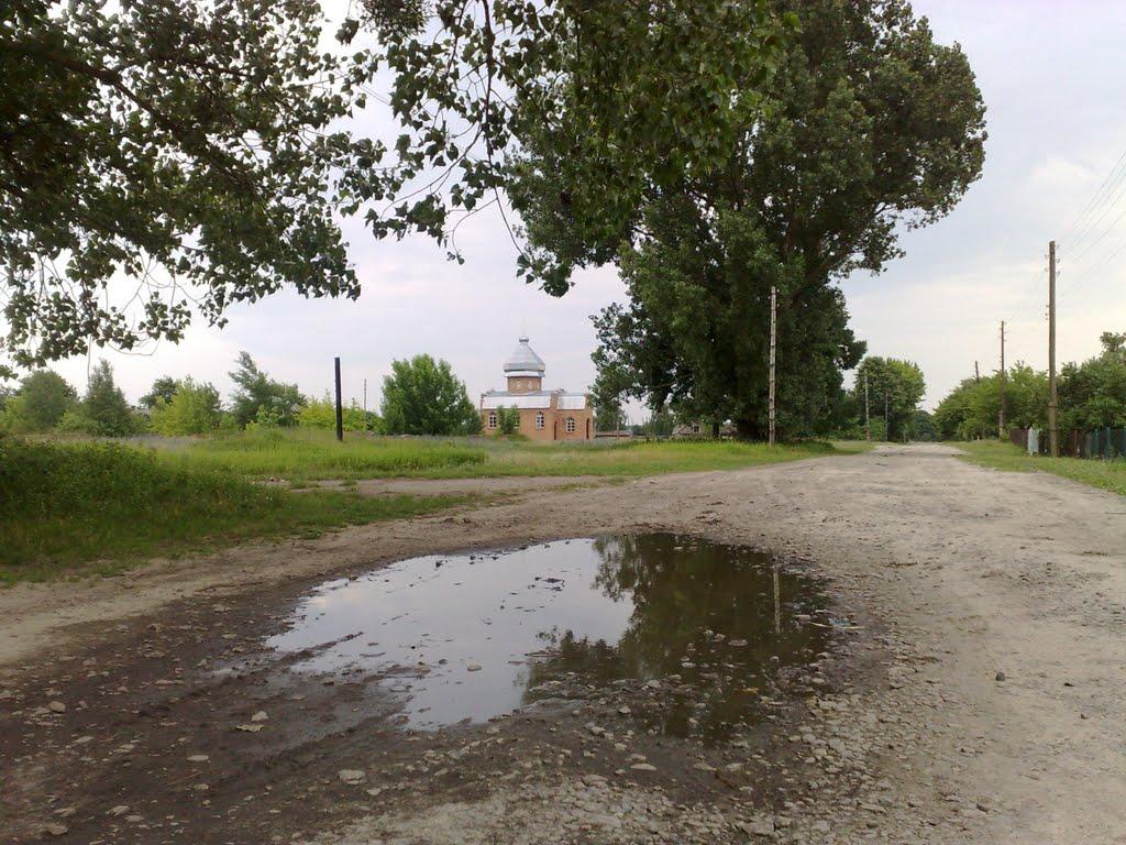 Свинарин з panoramio.com - Свинарин