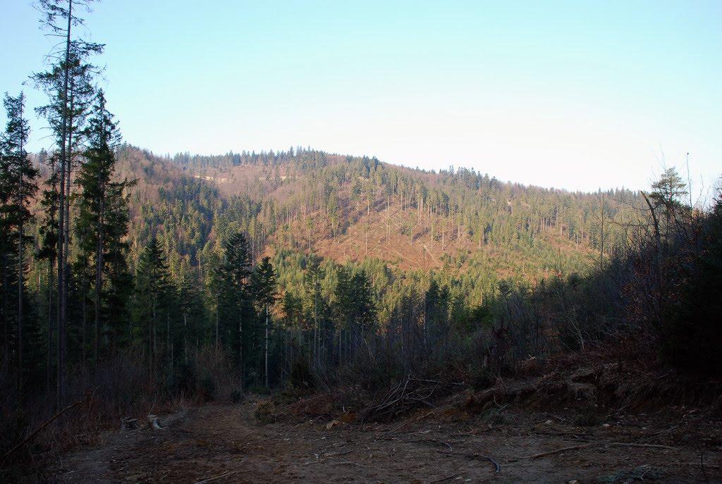 Манява з panoramio.com - Манява
