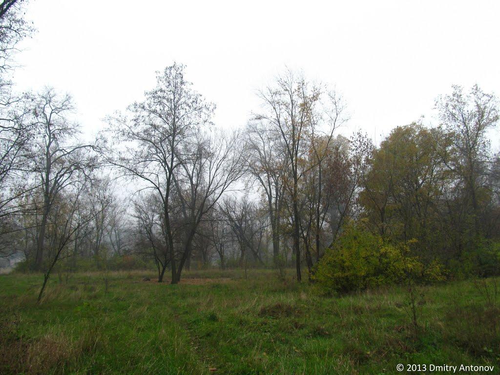 Вільне з panoramio.com - Вольное