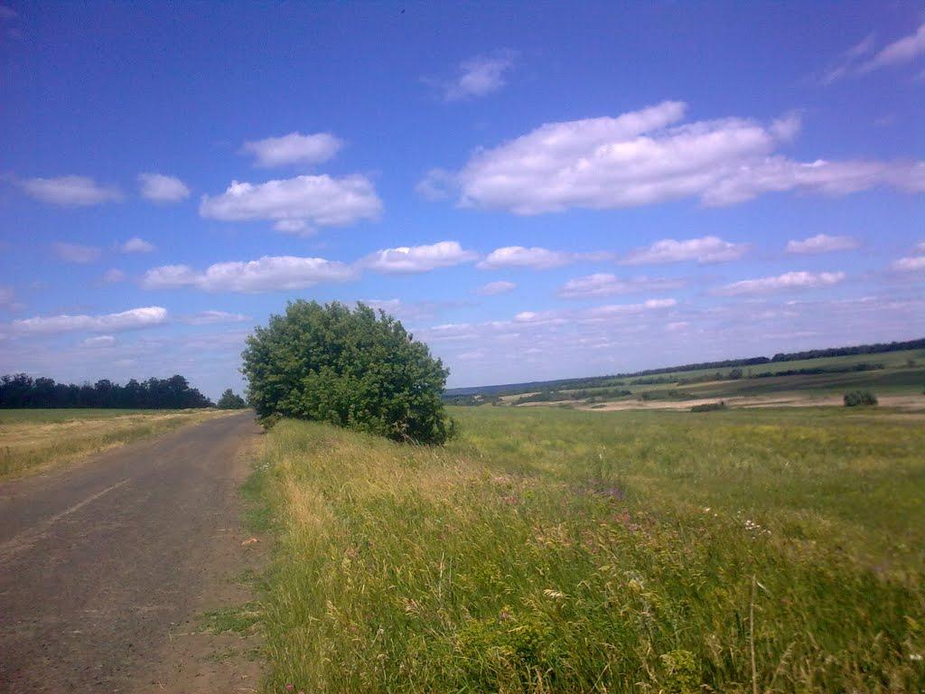 Маліїка з panoramio.com - Маліїка