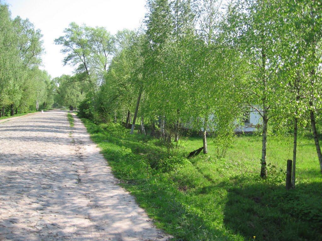 Велика Вісь з panoramio.com - Велика Вісь