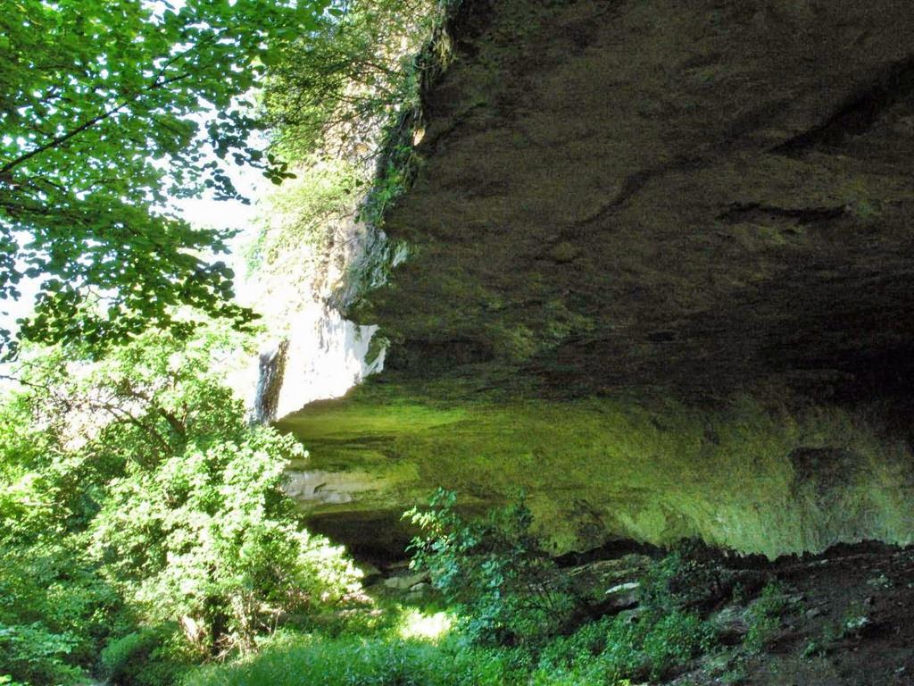 Велике Садове з panoramio.com - Velyke Sadove