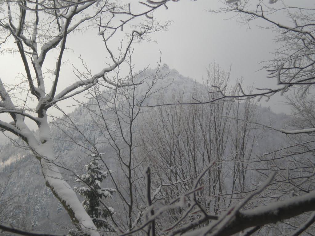 Усть-Чорна з panoramio.com - Усть-Чорна